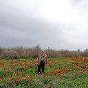 ���� ��������, ����� - ��������� 7 ������ 2019 � ������ �UZGTL�