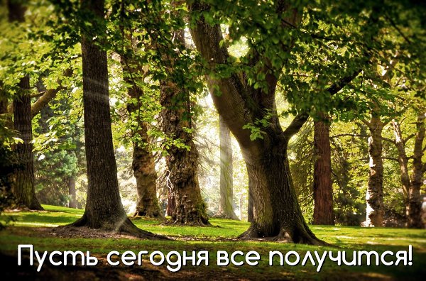   ,    . - 18  2019  10:20