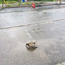 ���� �������, �������� - ��������� 24 ���� 2019 � ������ ������ ��������