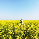  ,  , 59  -  21  2019    