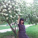 ���� ����, ����, 63 ���� - ��������� 6 ���� 2019 � ������ ���� ����������