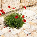  ••,  -  11  2019       ...