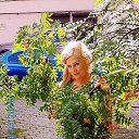 ���� ��������, �����-��������� - ��������� 17 ���� 2019 � ������ ���� ����������