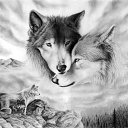 ���� ���������, ������ - ��������� 29 ������� 2019 � ������ �wolf�