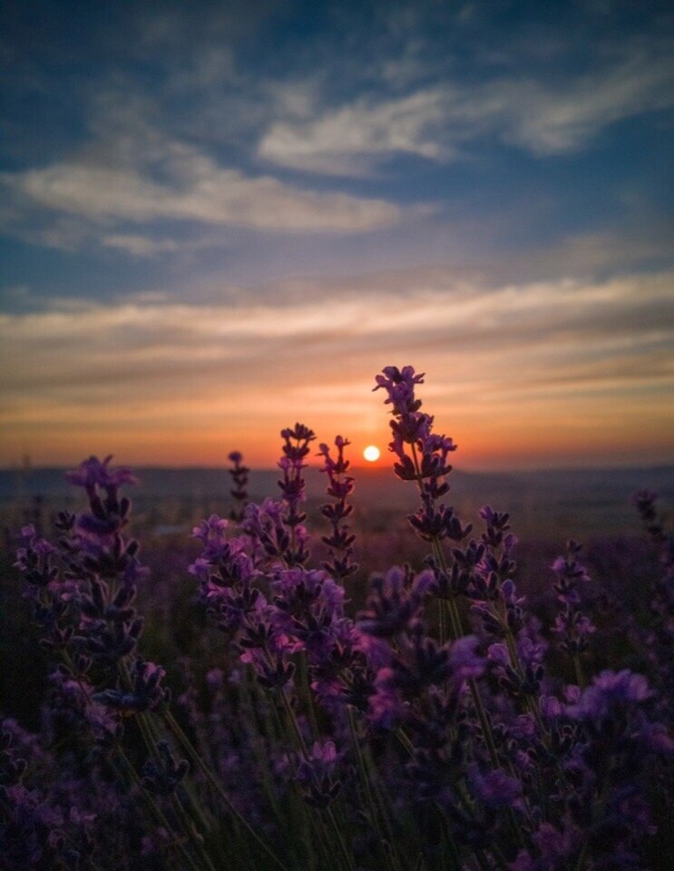  ! - 18  2019  22:56 - 6