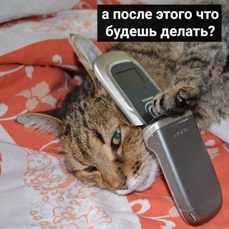    - 5