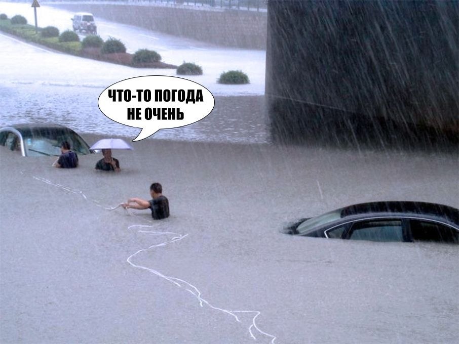    :D - 4  2020  18:31
