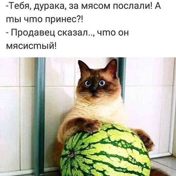 ������ - 3 ������ 2019 � 13:19