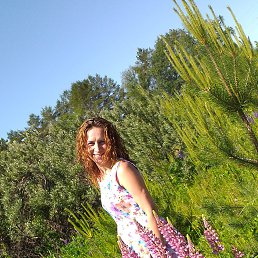 �����, ���������� �����, 48 ���