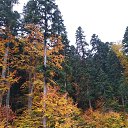 ���� ����, �����-���������, 45 ��� - ��������� 9 ������� 2019 � ������ ����������� ������