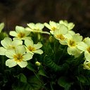 ���� �������, �����, 54 ���� - ��������� 7 ���� 2019 � ������ �...����---�������� ����