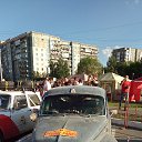  , , 50  -  13  2019   - .  