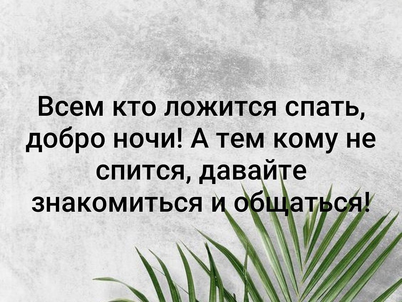   - 13  2019  18:21