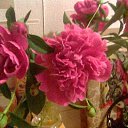 ���� �����, ���������� - ��������� 24 ������ 2019 � ������ ���� ����������