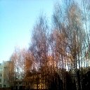  Vaniiy,  -  24  2019    