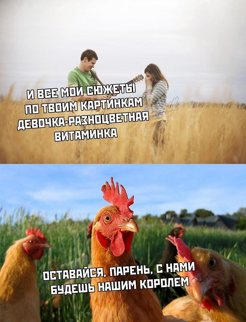 " ר  " - 31  2019  12:39