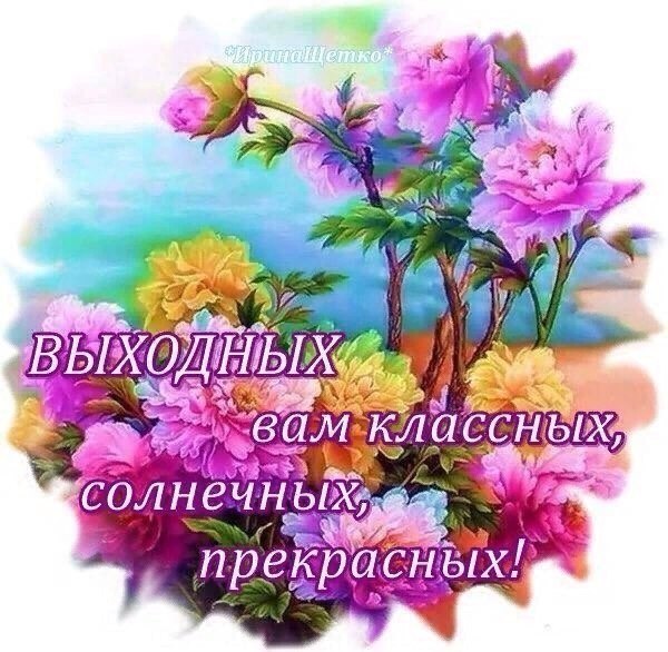   - 13  2019  13:38