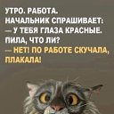 ���� ���������, ����������� - ��������� 11 ������ 2019 � ������ ���� ����������