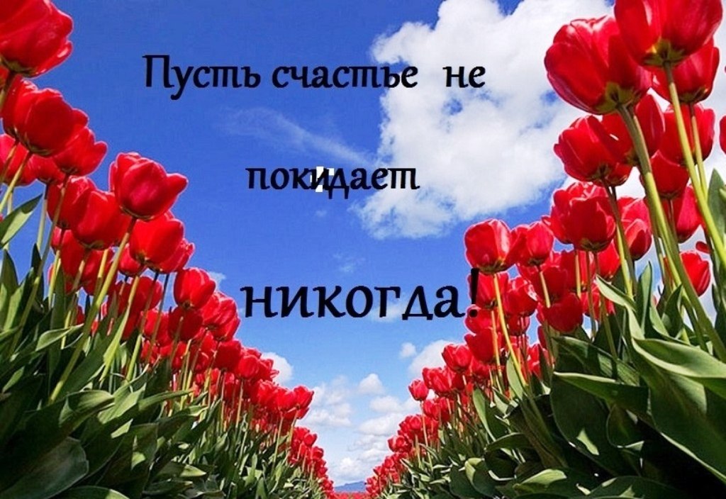   ,    . - 22  2019  22:41