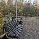  , , 50  -  4  2019   3.10.2019 