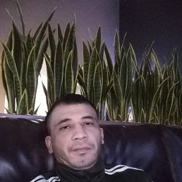 �����, ������, 32 ����