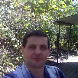 ������, ��������, 51 ���