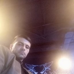 ������, ������, 41 ���