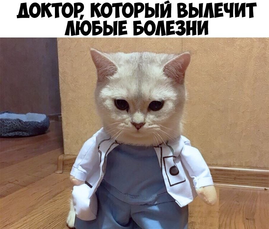    :D - 14  2019  04:25