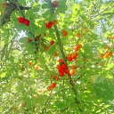 ���� �������, �������, 27 ��� - ��������� 9 ������� 2019 � ������ ���� ����������