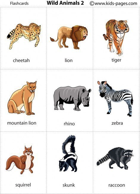  - Animals - 4