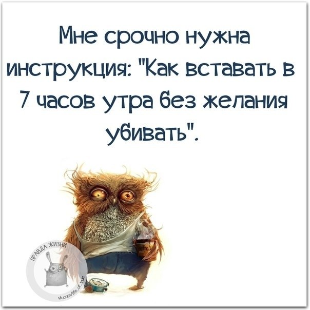   - 8  2019  18:49