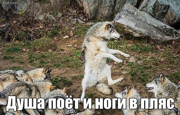 ����� - 12 ������� 2019 � 11:22