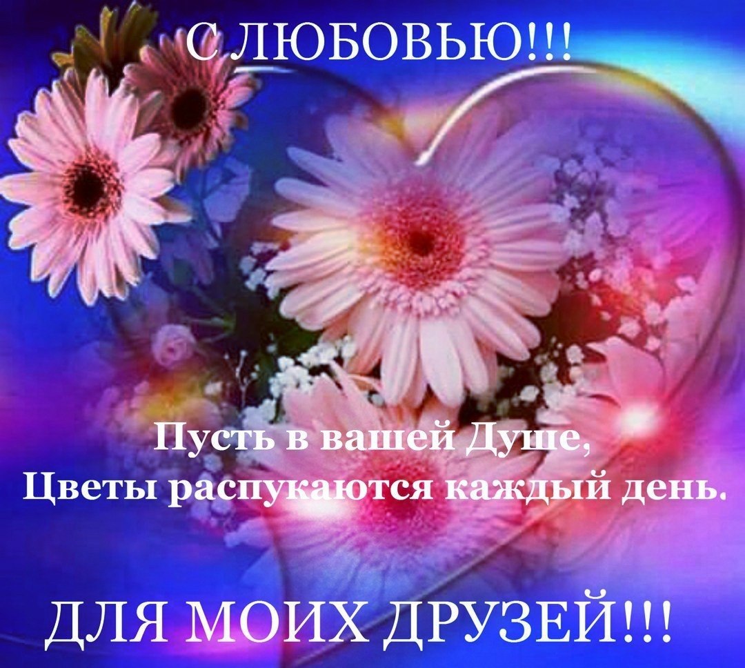   ,    . - 16  2019  15:46