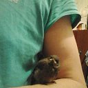 ���� �, ����� - ��������� 29 ������� 2019 � ������ ���� ����������