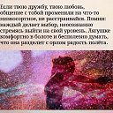  , , 56  -  26  2019    