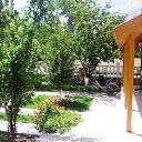 ���� Ozgur, ����� - ��������� 30 ���� 2019