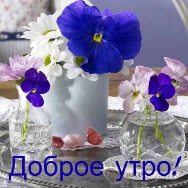   ,    . - 29  2019  08:15