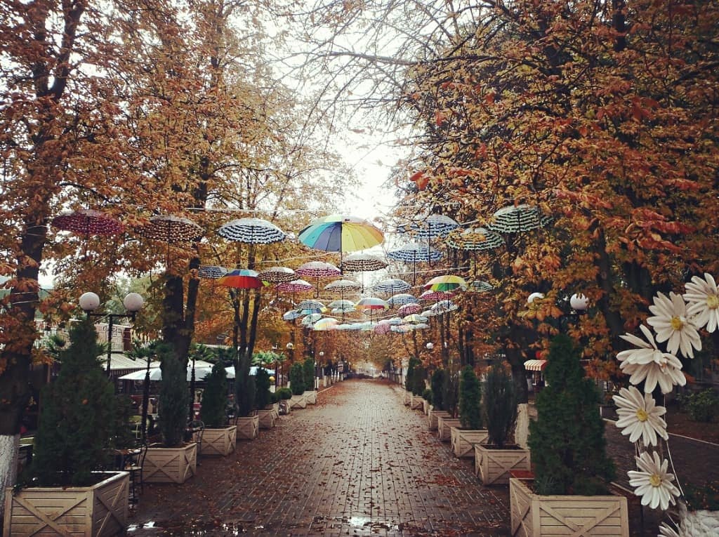 .....   ....      .....   ,  ... - 8