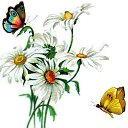 ���� ����, ������, 37 ��� - ��������� 11 ������� 2019 � ������ ���� ����������