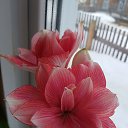  , , 46  -  22  2019   :)))