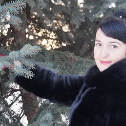 ����, ��������, 50 ���