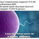  , , 62  -  23  2019    