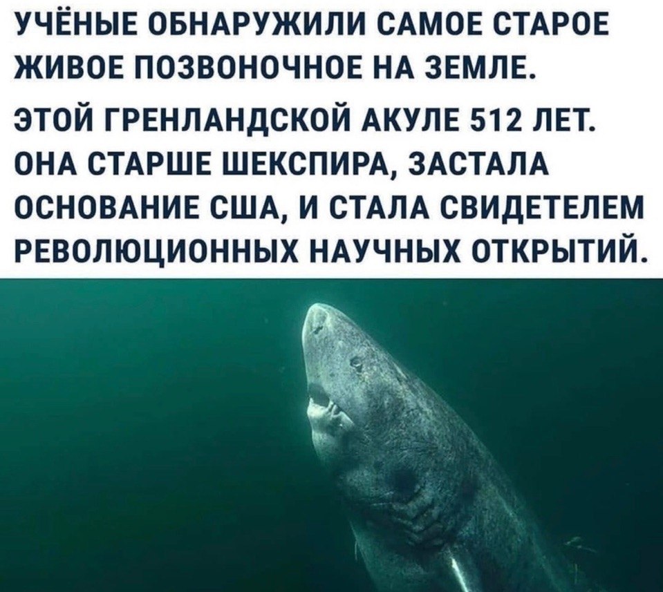   -   - 23  2019  00:35