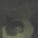 ���� �����, ����������, 54 ���� - ��������� 28 ������ 2019 � ������ ���� ����������