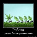 ���� Timur, ������������, 37 ��� - ��������� 4 ������� 2019 � ������ ���� ����������