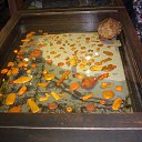  Mihail, , 71  -  24  2019    