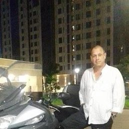 ������, ������, 49 ���