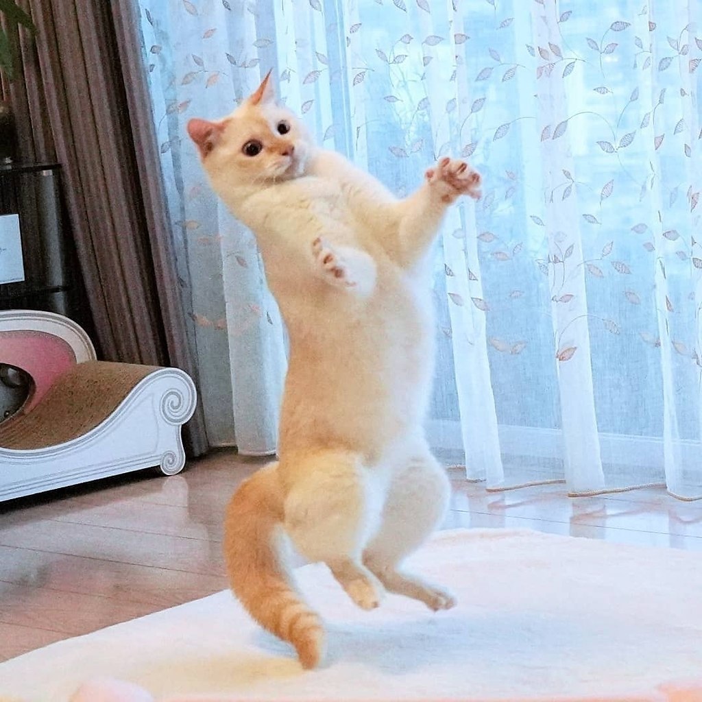 oa o e, o  oe cee ee cao.  ae aaaao! - 3