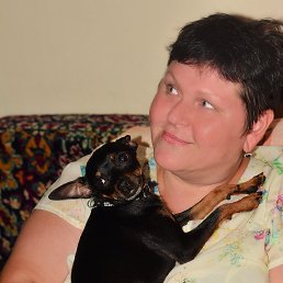 ��������, ������������, 56 ���