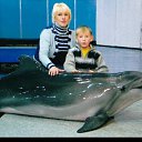 ���� ����, ���������, 55 ��� - ��������� 3 ������� 2019